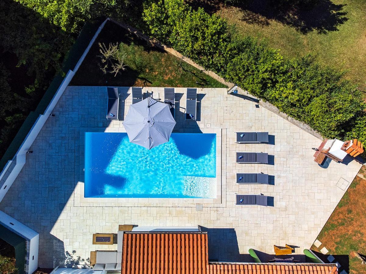 Big Swimming Pool Moonvidal